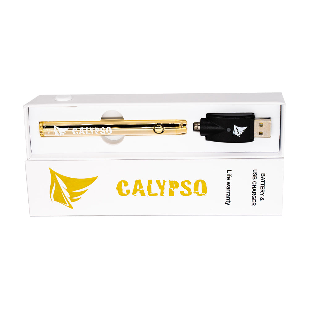 Calypso Battery & USB Charger